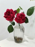 月季插花 植物 装饰 春天 环