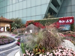 重庆花博会 重庆花博会展区 花