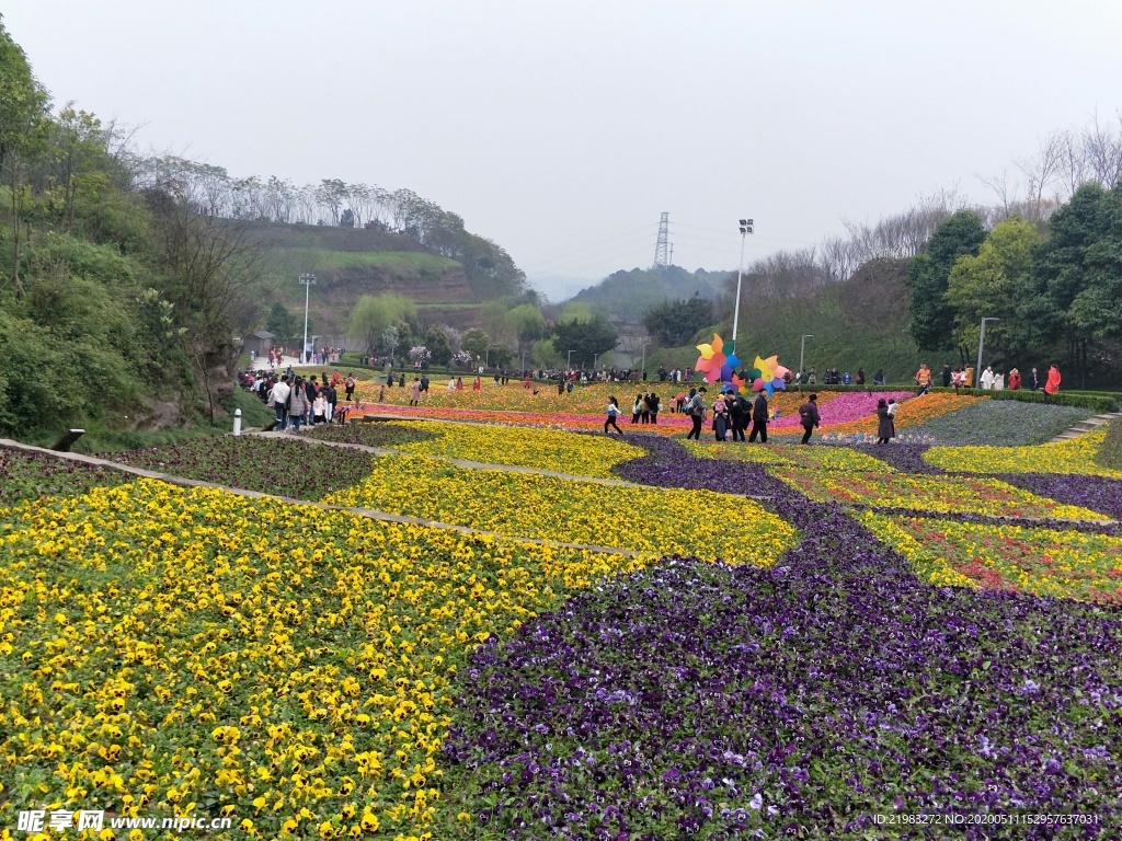 花海