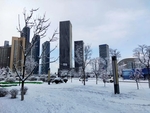 大连科技学院雪景