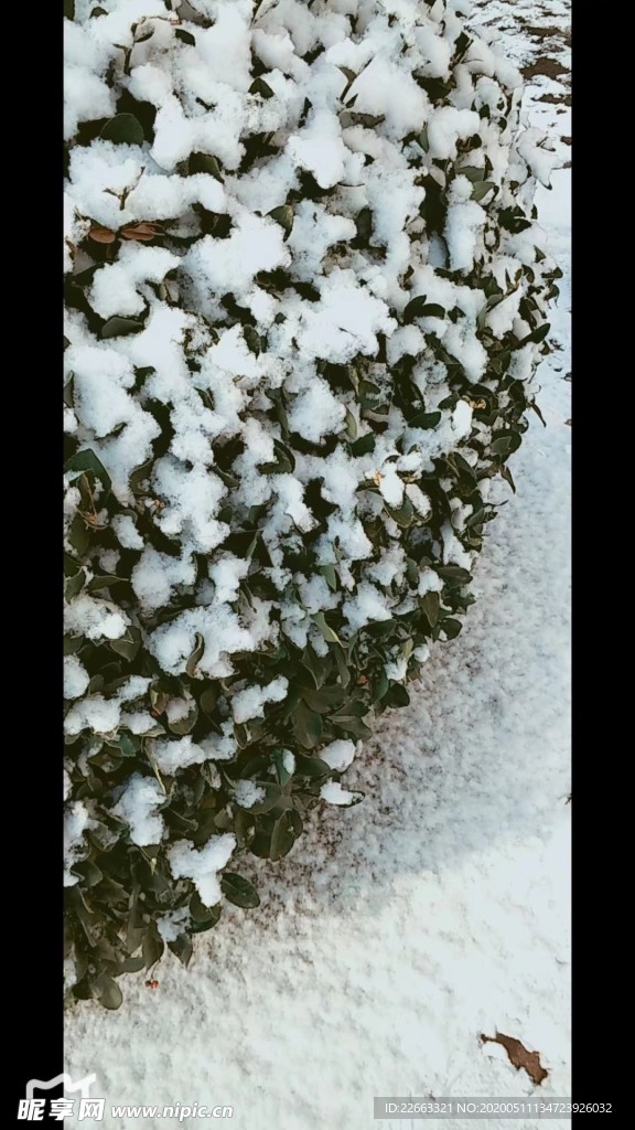 雪景