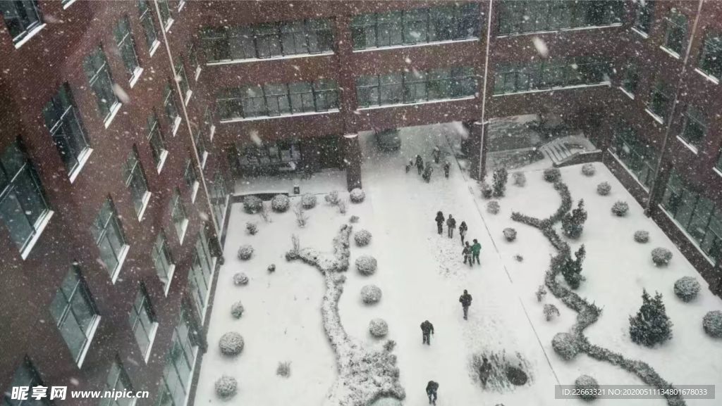 下雪时大连科技学院