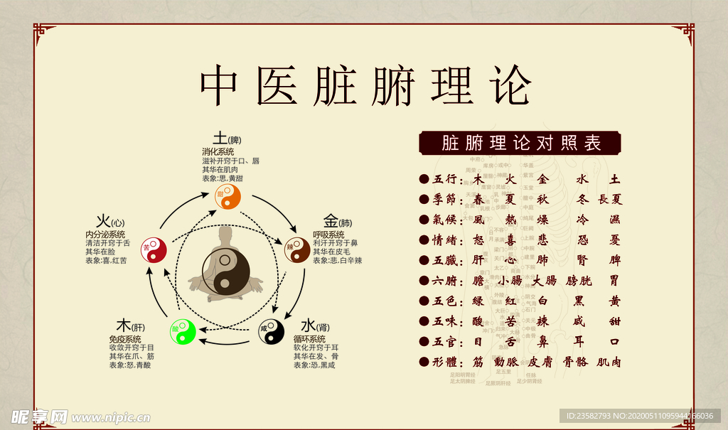 中医脏腑理论