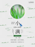 小满