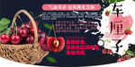 车厘子