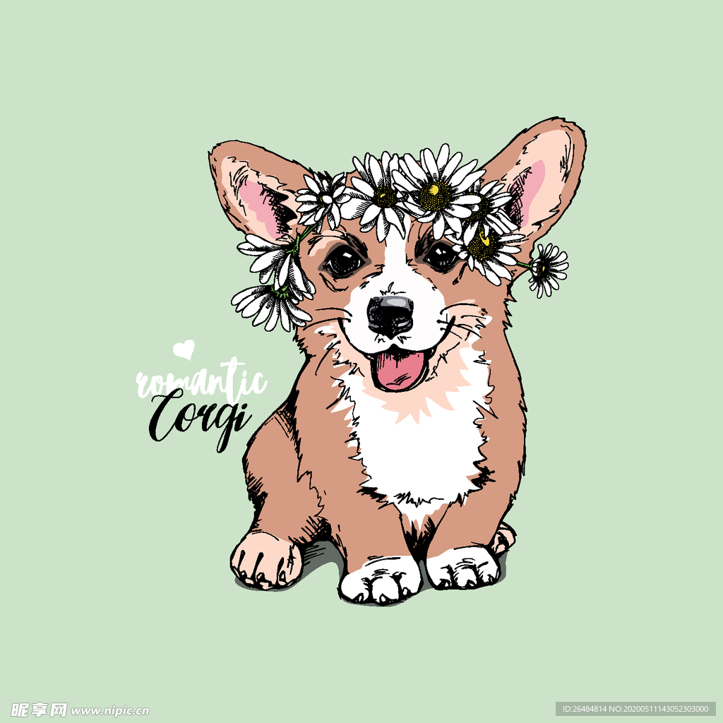 小雏菊