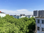 顶楼风景