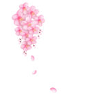 矢量花