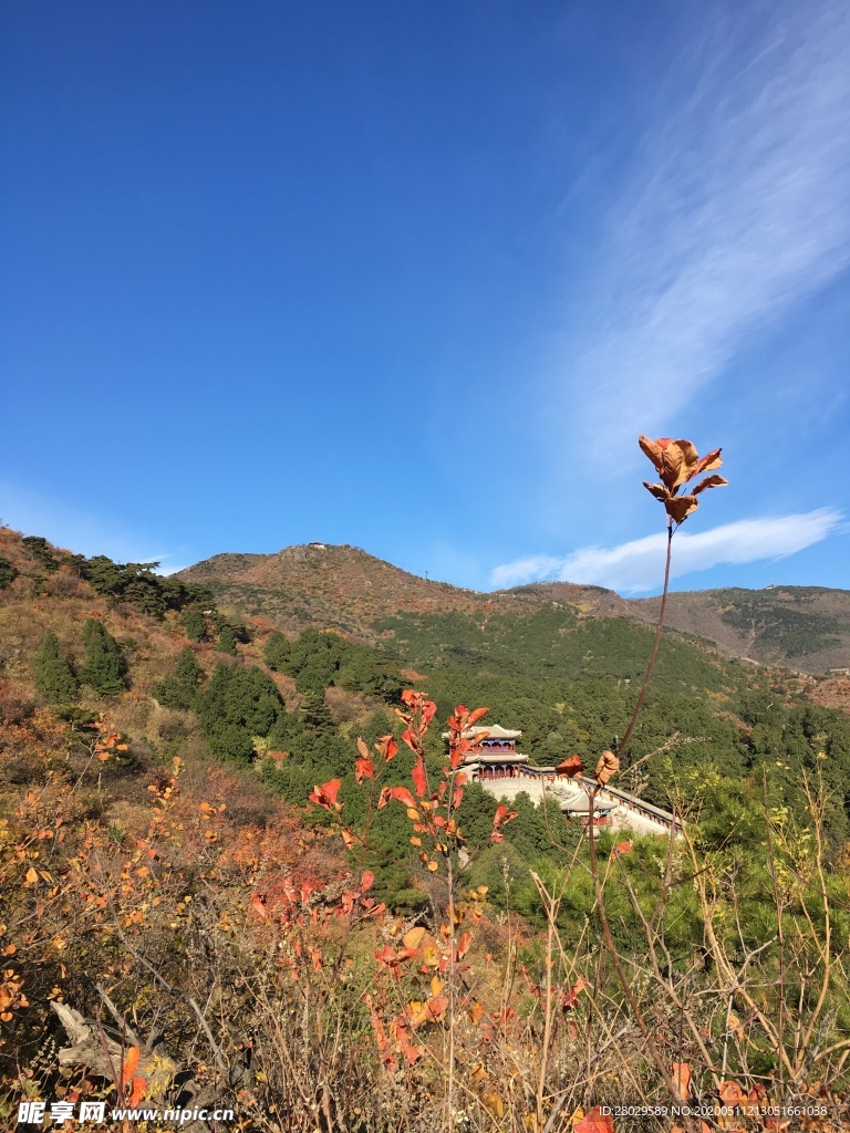 山上的风景