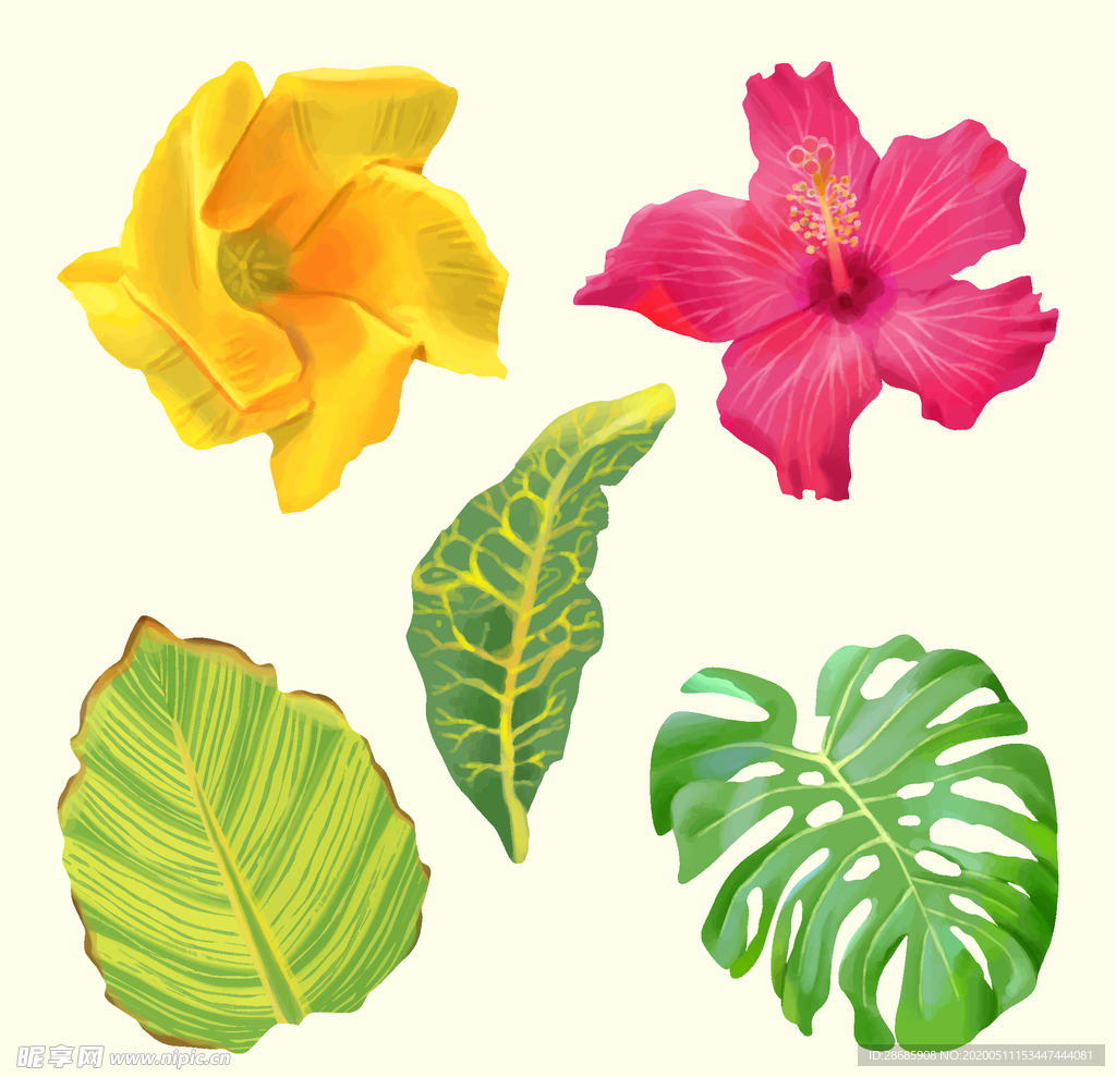 线条矢量手绘花草植物