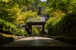 庭院