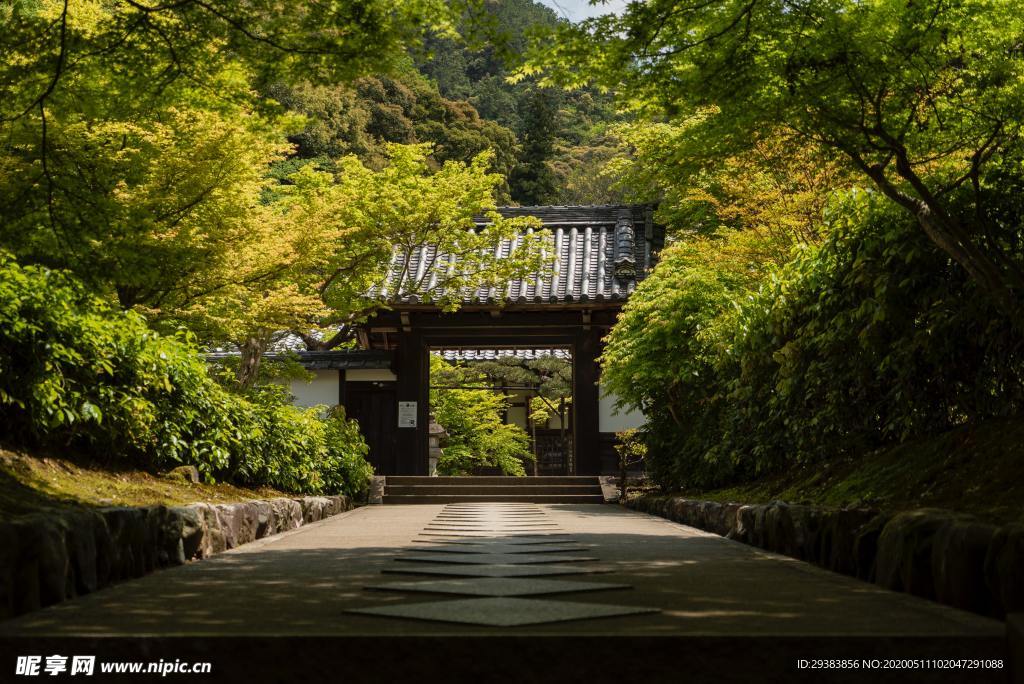 庭院