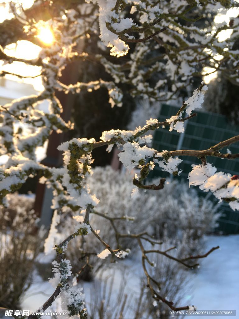 风景