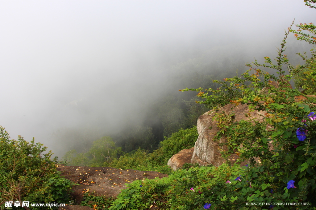风景