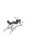 卡通猫咪溜表情包