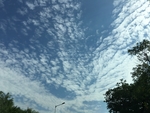 鱼鳞云