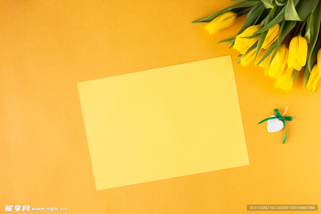 黄色郁金香背景图片