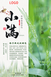 小满节气