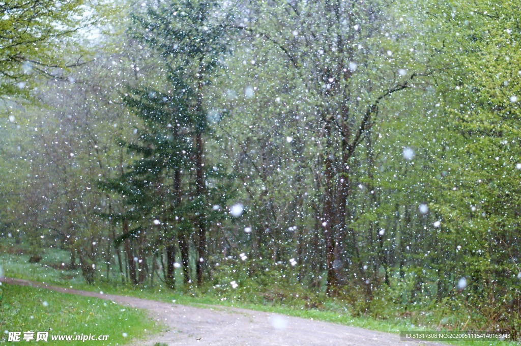 雨