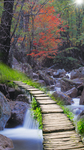 风景玄关