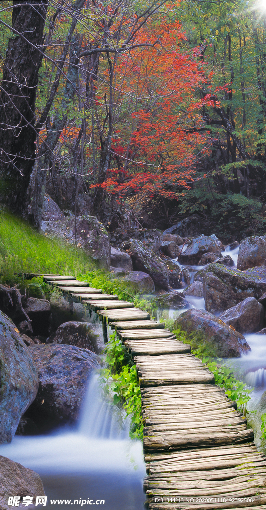 风景玄关