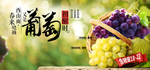 葡萄海报