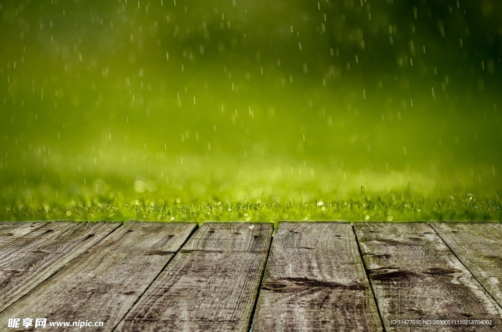 被春雨洗礼的木板路图片