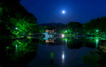 日本公园夜晚美丽风景