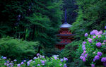 日本京都公园