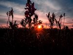夕阳西下