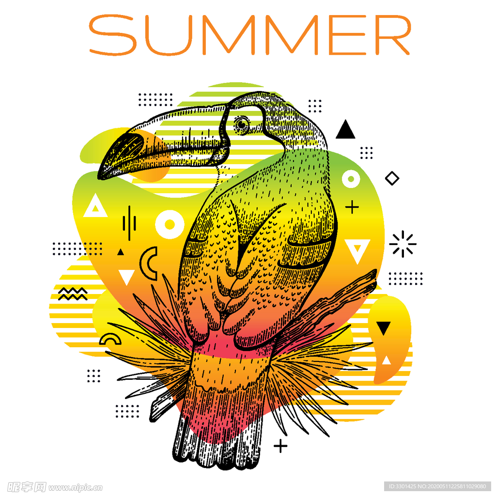 炫彩夏季海报 巨嘴鸟