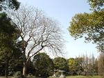 公园