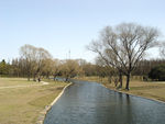 公园