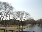 公园