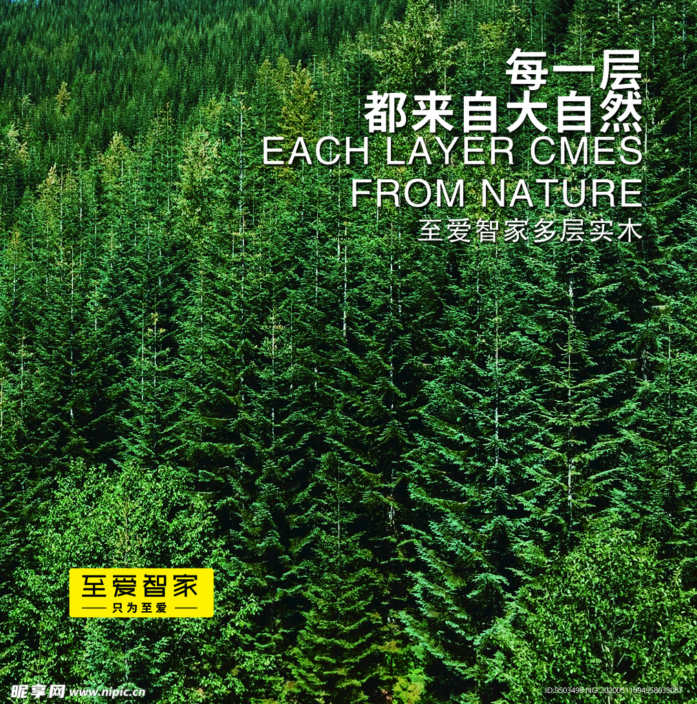 全屋整装森林海报