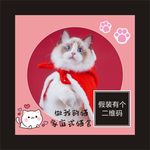 猫舍