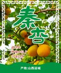 秦杏标签不干胶