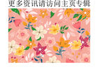 花朵 叶子 花卉 春天花朵