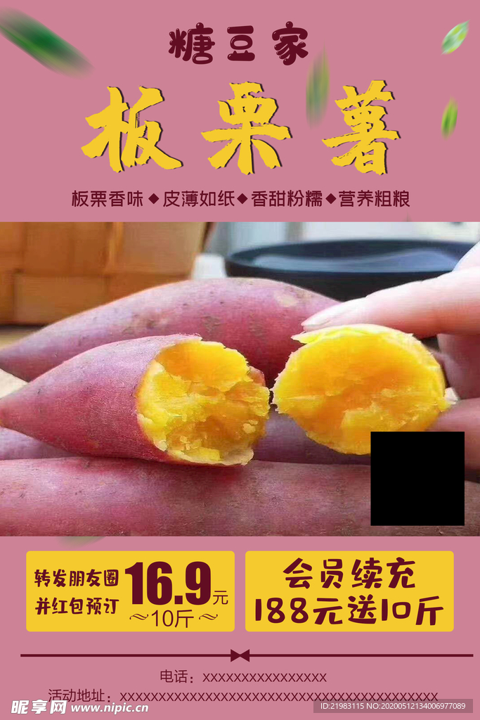 板栗薯