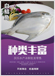 不到海边吃遍海鲜