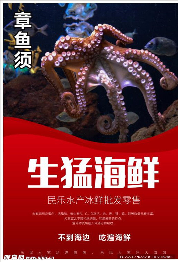 不到海边吃遍海鲜