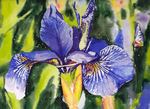 花朵植物田园风油画