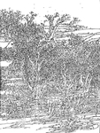 中国风线条山水白描图案