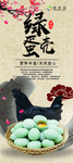 绿壳蛋