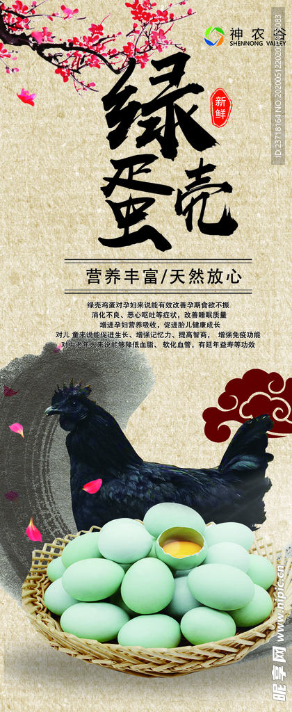 绿壳蛋