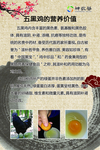五黑鸡的营养价值