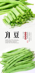 刀豆海报