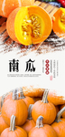 南瓜美食海报