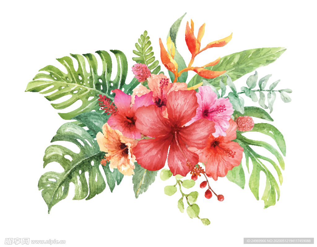 水彩花卉