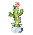 水彩植物